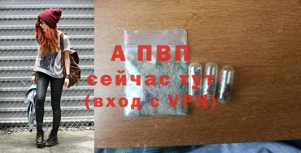 спайс Белокуриха