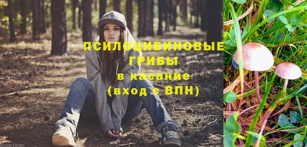 спайс Белокуриха