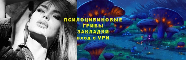 спайс Белокуриха