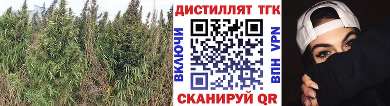 ТГК THC oil  blacksprut ссылка  Кувандык 
