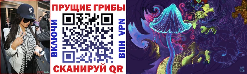 Псилоцибиновые грибы мухоморы  mega зеркало  Кувандык 
